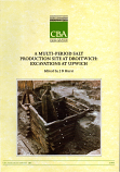 [USED] A Multi-Period Salt Production Site at Droitwich: Excavations at Upwich