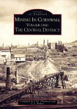 Mining in Cornwall Volume One: The Central District