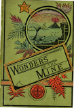 [USED] Wonders of the Mine 1st Edition